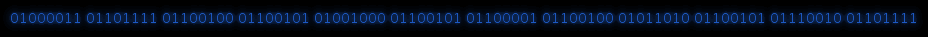 Binary CodeHeadZero